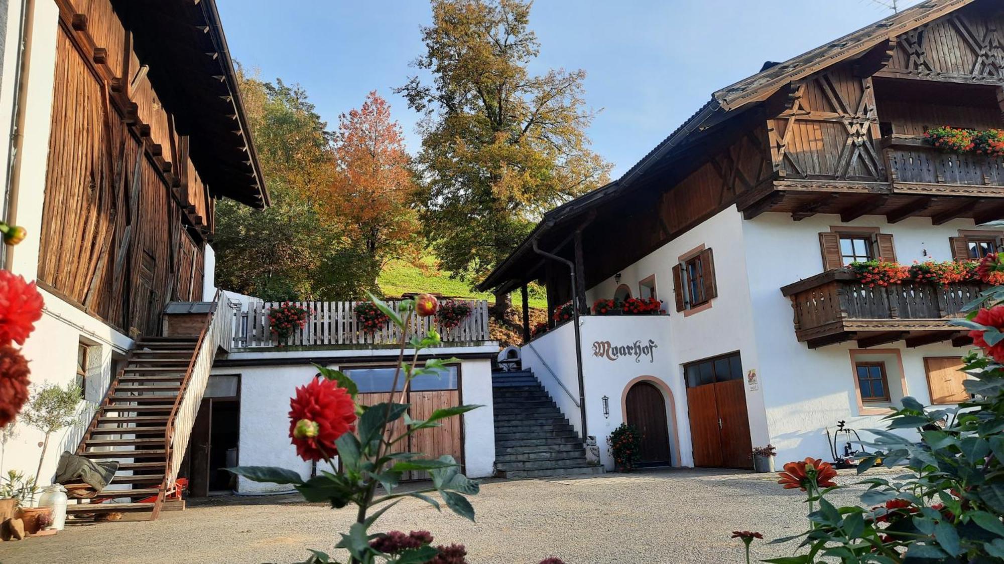 Moarhof Gufidaun Apartment Киуза Екстериор снимка